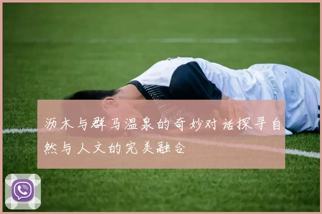 沥木与群马温泉的奇妙对话探寻自然与人文的完美融合