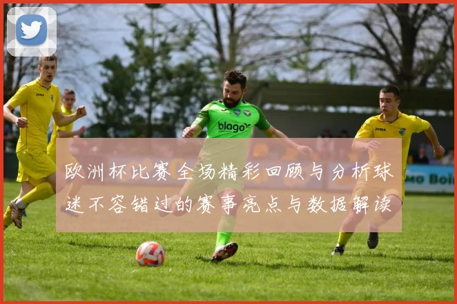 欧洲杯比赛全场精彩回顾与分析球迷不容错过的赛事亮点与数据解读