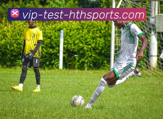 华体会服务体系